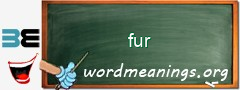 WordMeaning blackboard for fur